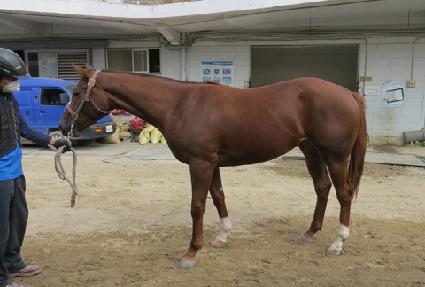 ����Ʈķ�� ����