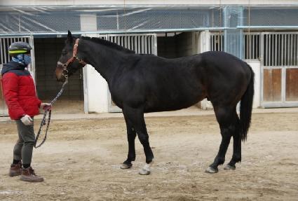 è�Ǿ��� ����