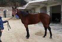 �������Ƽ (RUBY PRETTY) ����