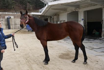 �������Ƽ ����