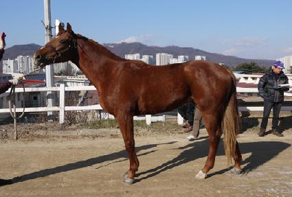 ��Ŀ ����