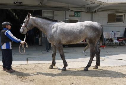 ȭ��Ʈ���� ����