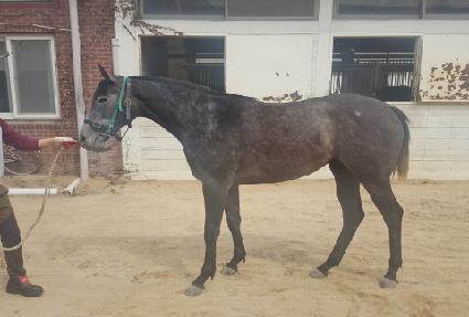 ����Ʈ���� ����