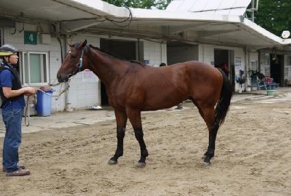 ŷ�޽��� ����