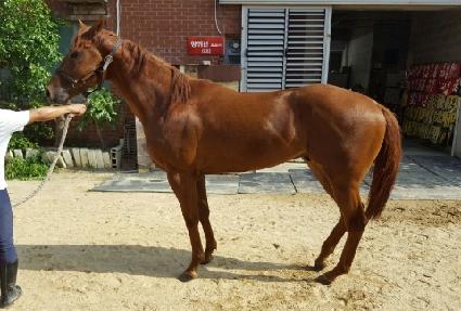 �̽��Ϳ�� ����