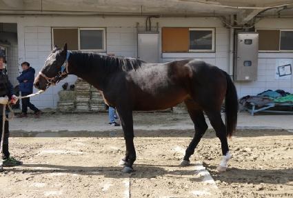 û����ǳ ����