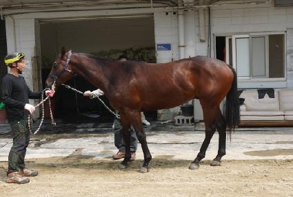 �ְ���ġ ����