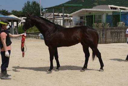 �̽������� ����