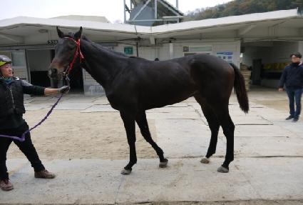 ũ����Ż���� ����