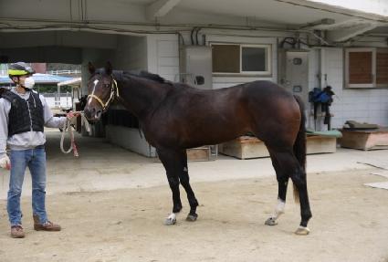 �Ƹ�����ε� ����