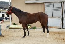 �㸮���κ��� (HURRICANE BAY) ����