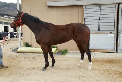 �㸮���κ��� ����