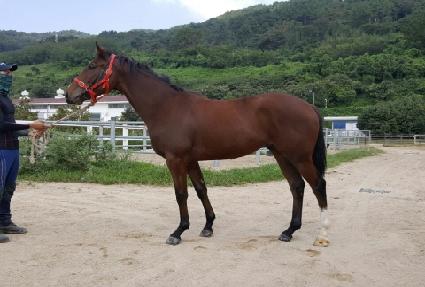 ����ŷ�¸� ����