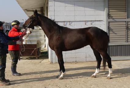 ť�ǵ�ķ�� ����