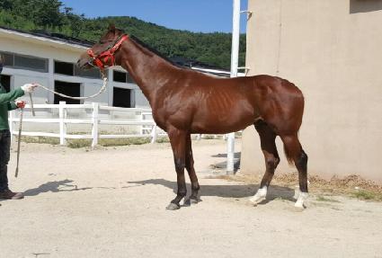 �Ƹ޸�ĭ�Ŀ� ����