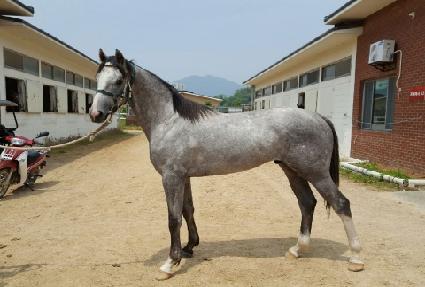 ���Ʈ���� ����