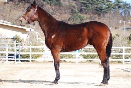 ���ϵ弼�� ����