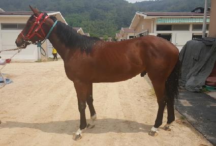 ���Ƕ���Ʈ ����