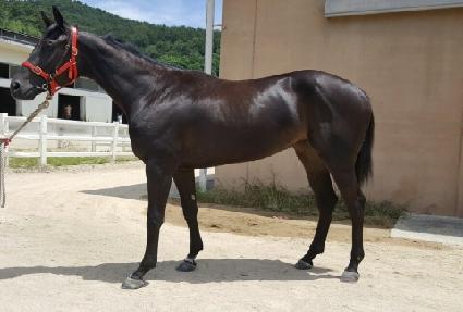 ��Ʈ���� ����