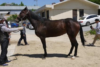 �ְ����ְ� ����