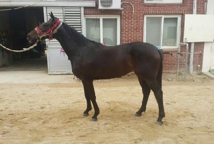 ȯ�Ѽ��� ����