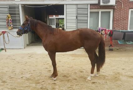 õ����� ����