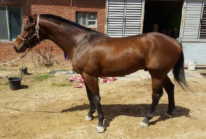 �ػ罺���� ����