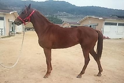 �ػ罺�� ����