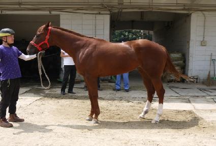 �ͻ꿩�� ����