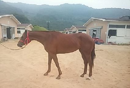 �ػ罺��� ����