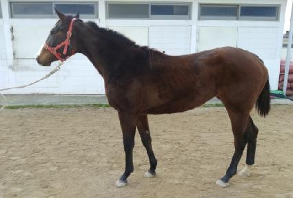 �ְ��ǳ� ����