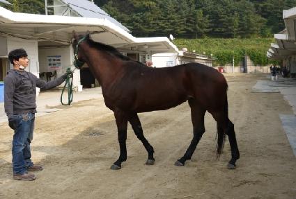 �ʼ� ����