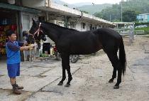 ������� (DOKJU HUIMANG) ����