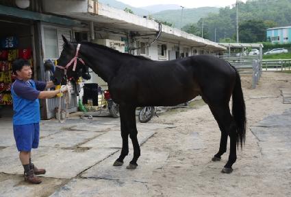 ������� ����