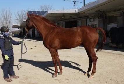 ����� ����