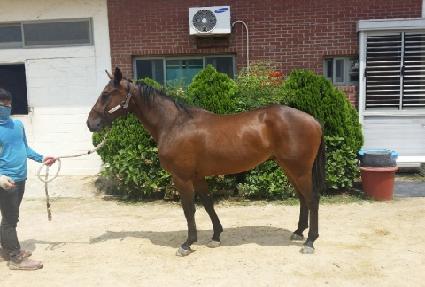 �·� ����