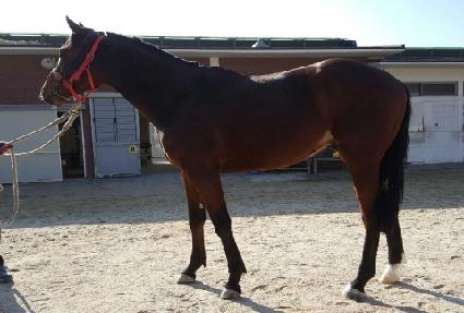 �������¸� ����