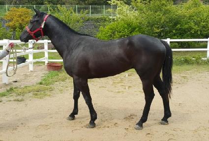 �츮���ǿ��� ����