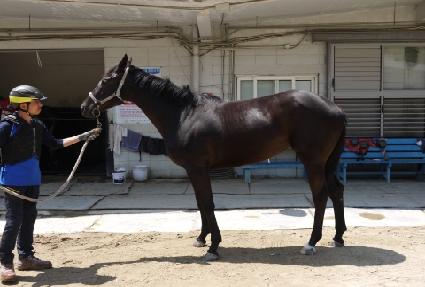 ����ī ����