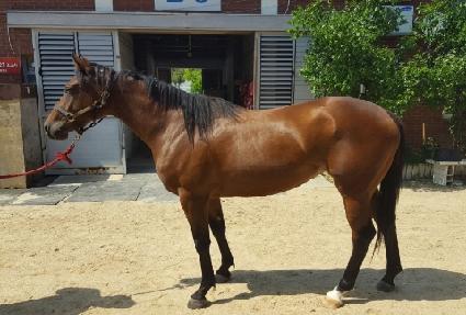 ��Ƽ ����