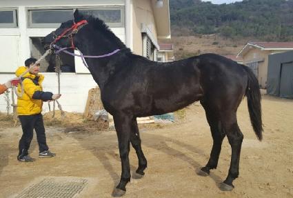 �´����ְ� ����