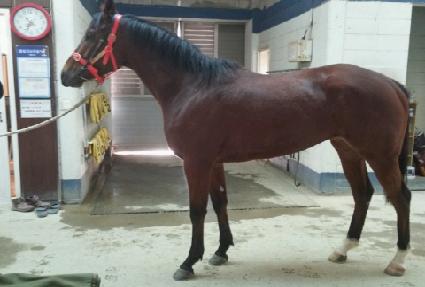 ������� ����