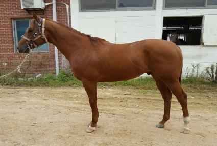 ����Ŭ ����