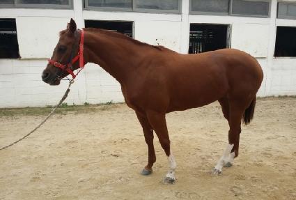 �ǹ����� ����