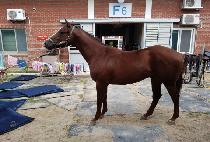 �������ְ� (SAENURI CHOEGANG) ����