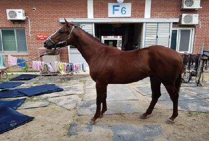 �������ְ� ����