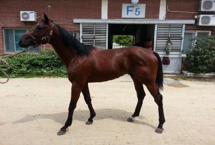 ūī������ ����