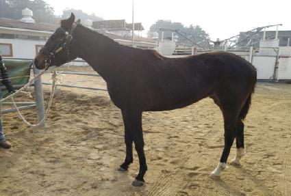 ���丮�ô� ����