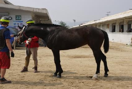 ��������Ʈ ����