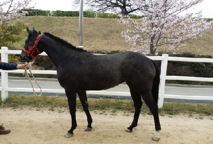 ��õ�� ����